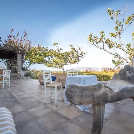 Villa Luxury Estate Plaka Naxos City